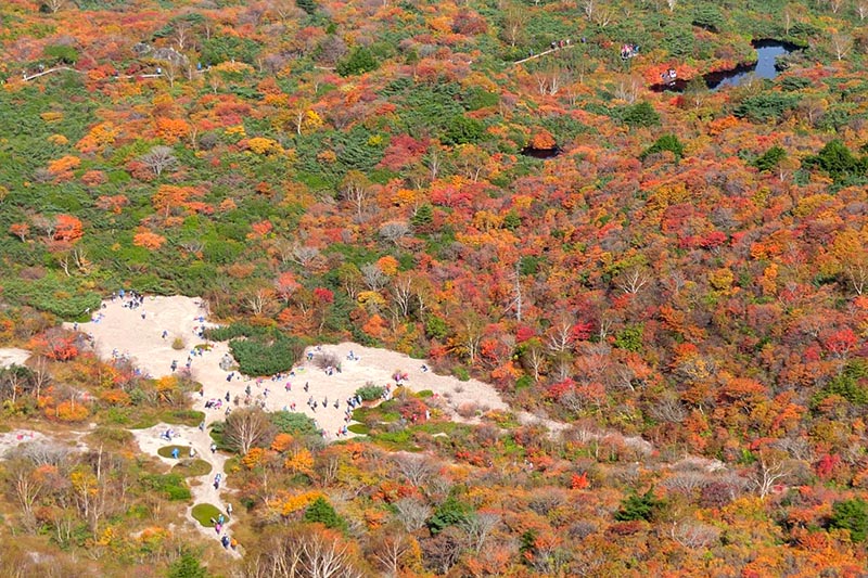 秋の姥ヶ平　紅葉風景
