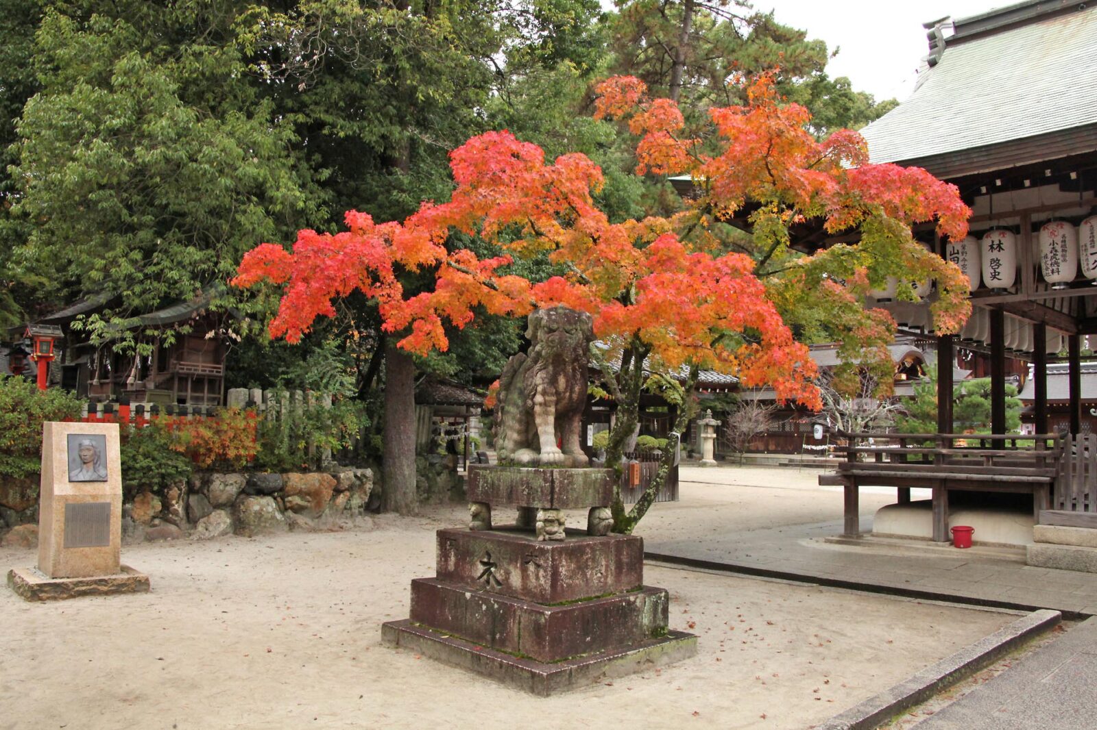 京都の紅葉　雨の紅葉風景