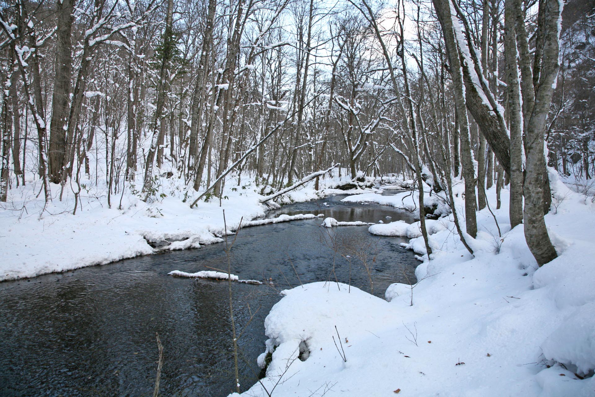 冬の青森の絶景 雪国「青森」の美しい冬の風景 美しい日本の冬の風景 | JAPAN WEB MAGAZINE