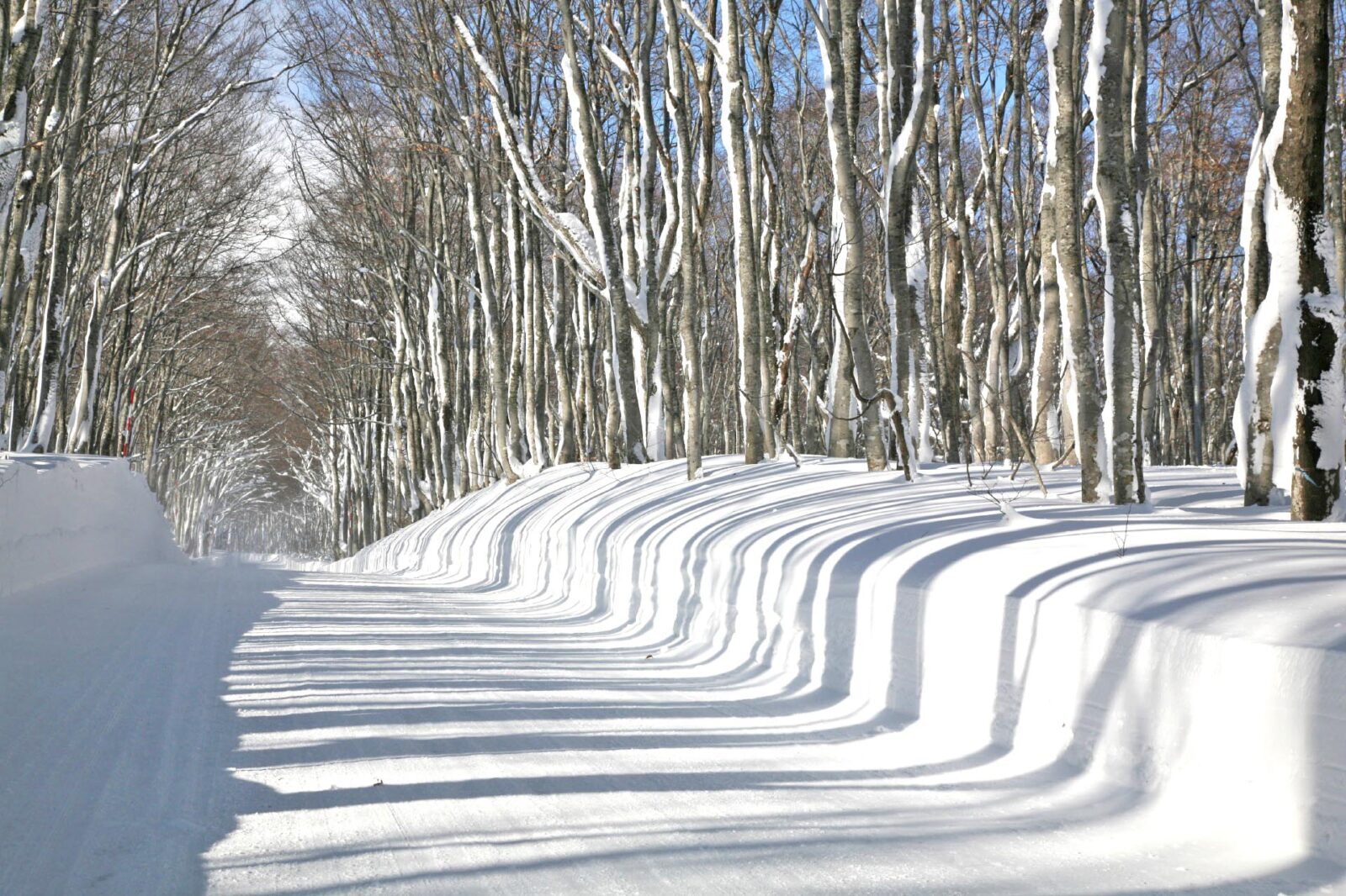 冬の青森の風景