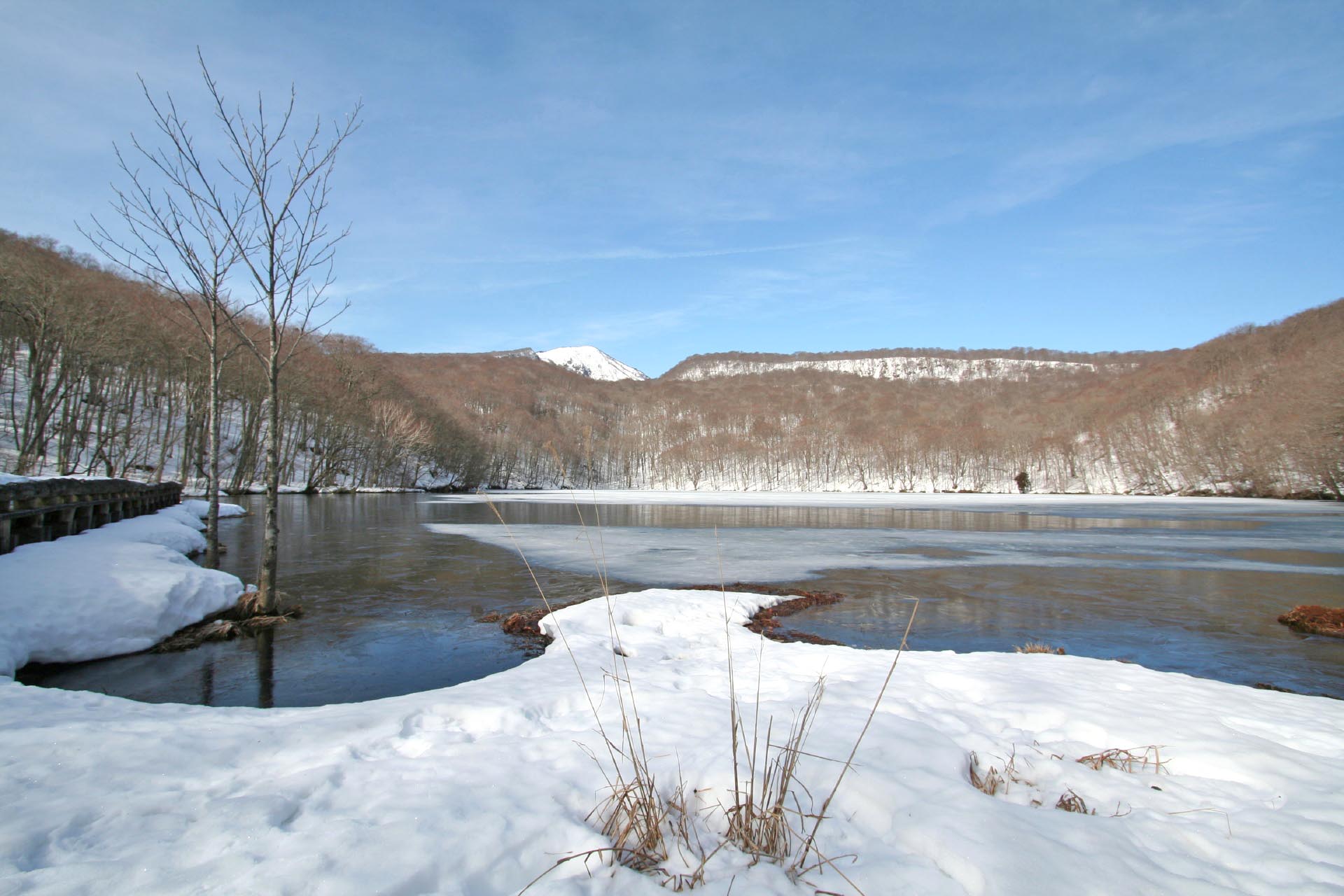 冬の青森の絶景 雪国「青森」の美しい冬の風景 美しい日本の冬の風景 | JAPAN WEB MAGAZINE