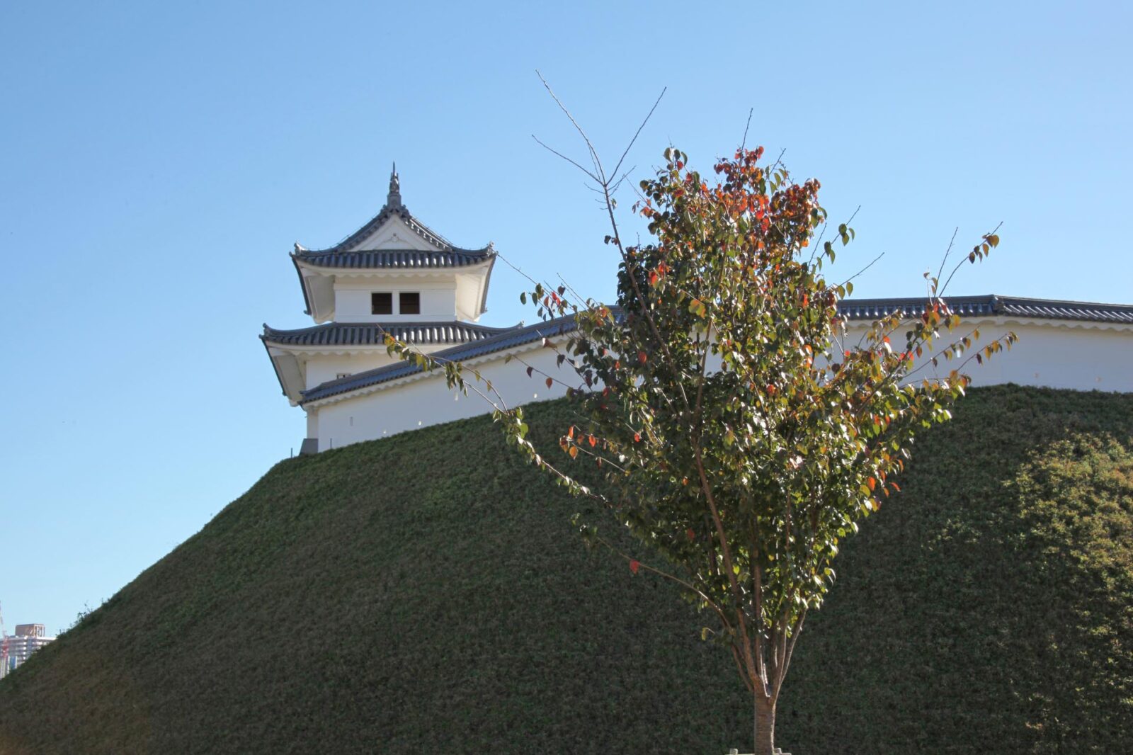 宇都宮城　栃木の城