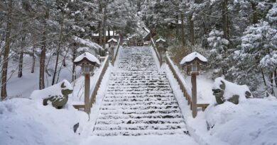 雪の真山神社
